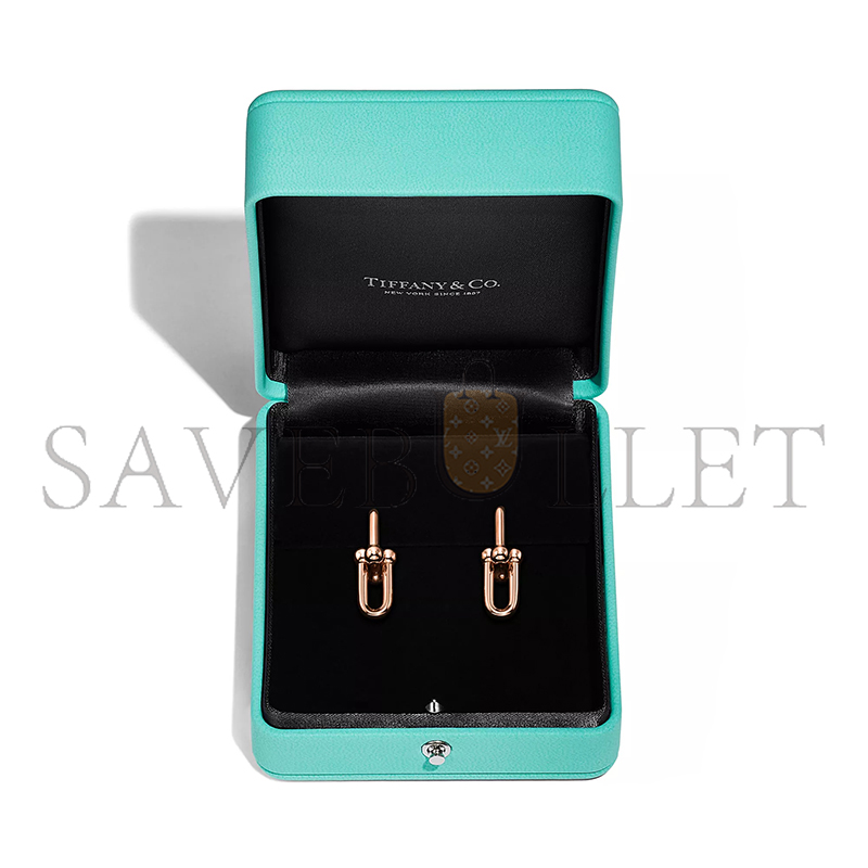 TIFFANY HARDWEAR MEDIUM LINK EARRINGS 73584590